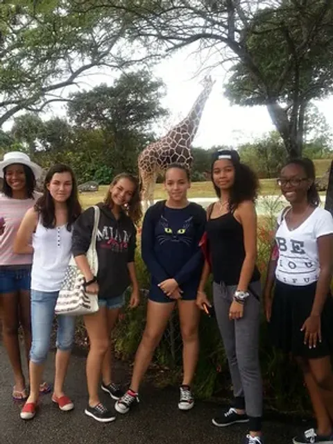 Ragazze in posa nel parco, con una giraffa alle loro spalle